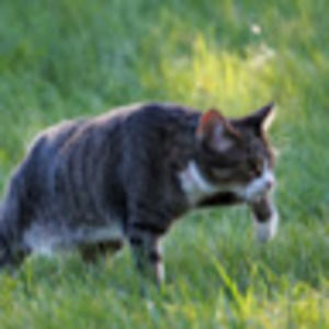 Meet your Posher, Lydia